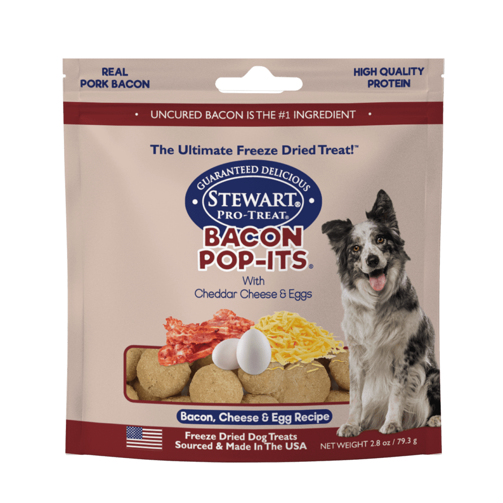 egg dog treats